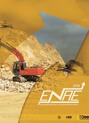 Encuesta Nacional de Actividad Económica 2013