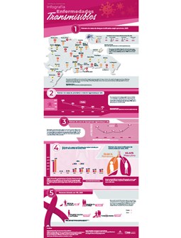 Infografía Enfermedades Transmisibles