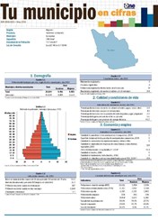 Boletín Tu Municipio en Cifras Higuamo-San Pedro de Macorís-Quisqueya 2018