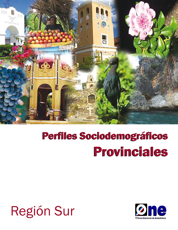 Perfiles Sociodemográficos Provinciales Región Sur 2010