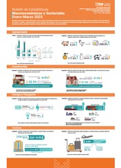 Boletín de Estadísticas Macroeconómicas y Sectoriales Enero-Marzo 2025
