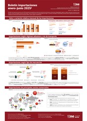 Boletín de importaciones enero-junio 2025p