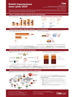 Boletín de importaciones enero-junio 2025p