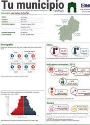 Tu municipio en cifras - Las Matas de Farfán