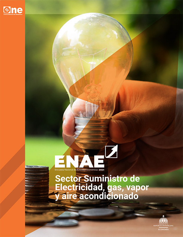 Encuesta Nacional de Actividad Económica, ENAE 2021: Sector Suministro de electricidad, gas, vapor y aire acondicionado.
