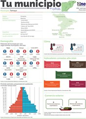 Boletín Tu Municipio en Cifras-Cibao Nordeste-Enriquillo-Baoruco-Tamayo, Marzo 2020
