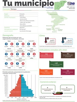 Boletín Tu Municipio en Cifras-Cibao Nordeste-Enriquillo-Baoruco-Tamayo, Marzo 2020