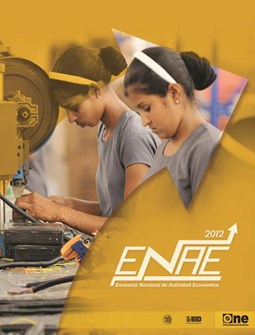 Informe Encuesta Nacional de Actividad Económica 2012