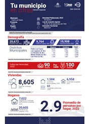 TU MUNICIPIO EN CIFRAS Padre Las Casas