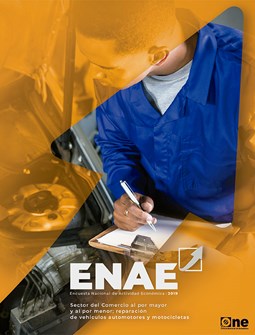Comercio al por mayor y al por menor; reparación de vehículos automotores y de motocicletas. Encuesta Nacional de Actividad Económica 2019