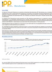 Boletín Índice de Precios del Productor, Manufactura Junio 2020