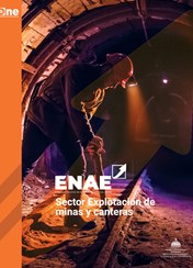 Informe Sector Explotación de Minas y Canteras ENAE 2023