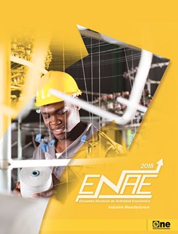 Informe Encuesta Nacional de Actividad Económica Sector Industria Manufacturera 2018