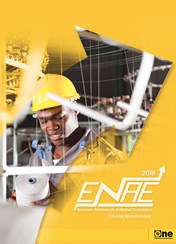 Informe Encuesta Nacional de Actividad Económica Sector Industria Manufacturera 2018