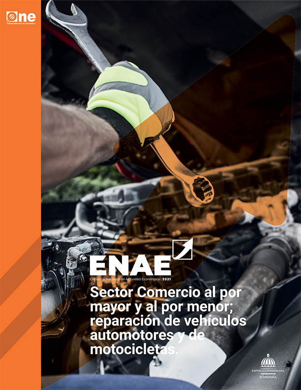 Informe ENAE 2021-Sector Comercio al por mayor y al por menor; reparación de vehículos automotores y de motocicletas