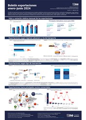 Boletín de exportaciones enero-junio 2024