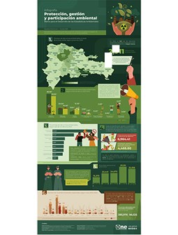 Infografía Protección, gestión y participación ambiental Marco para el Desarrollo de las Estadísticas Ambientales