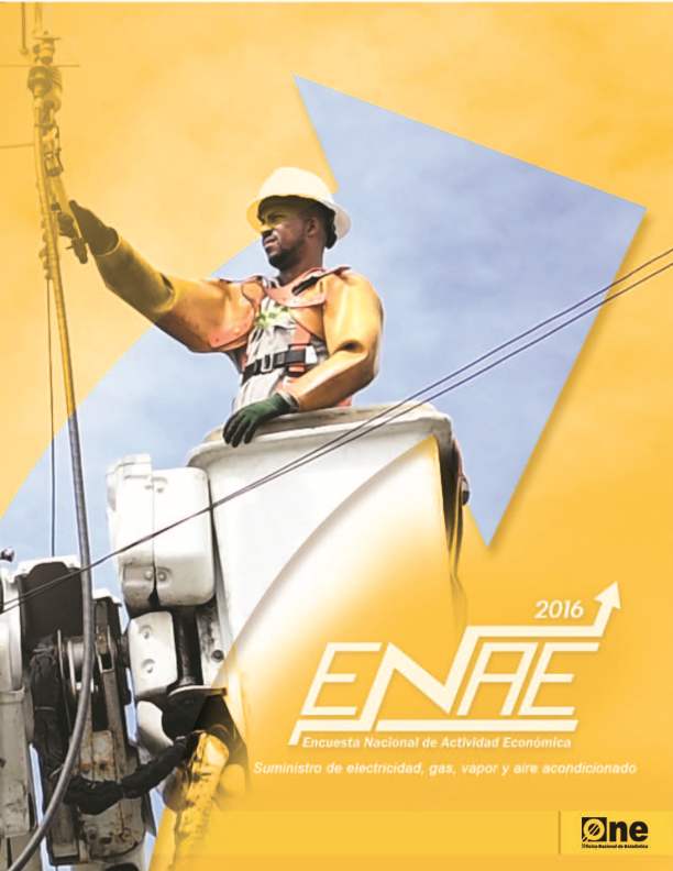 Informe Encuesta Nacional de Actividad Económica Sector Suministro de Electricidad Gas Vapor y Aire Acondicionado 2016