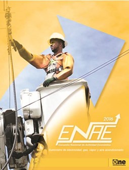 Informe Encuesta Nacional de Actividad Económica Sector Suministro de Electricidad Gas Vapor y Aire Acondicionado 2016