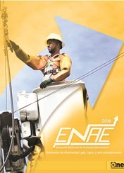 Informe Encuesta Nacional de Actividad Económica Sector Suministro de Electricidad Gas Vapor y Aire Acondicionado 2016