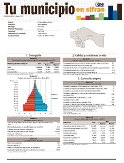 Boletín Tu Municipio en Cifras Ozama Boca Chica 2016