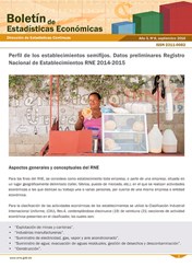 Boletín de Estadísticas Económicas 6 Perfil de los Establecimientos Semifijos Datos Preliminares RNE 2014-2015