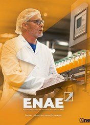Encuesta Nacional de Actividad Económica 2019 sector industrias manufactureras.