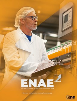 Encuesta Nacional de Actividad Económica 2019 sector industrias manufactureras.