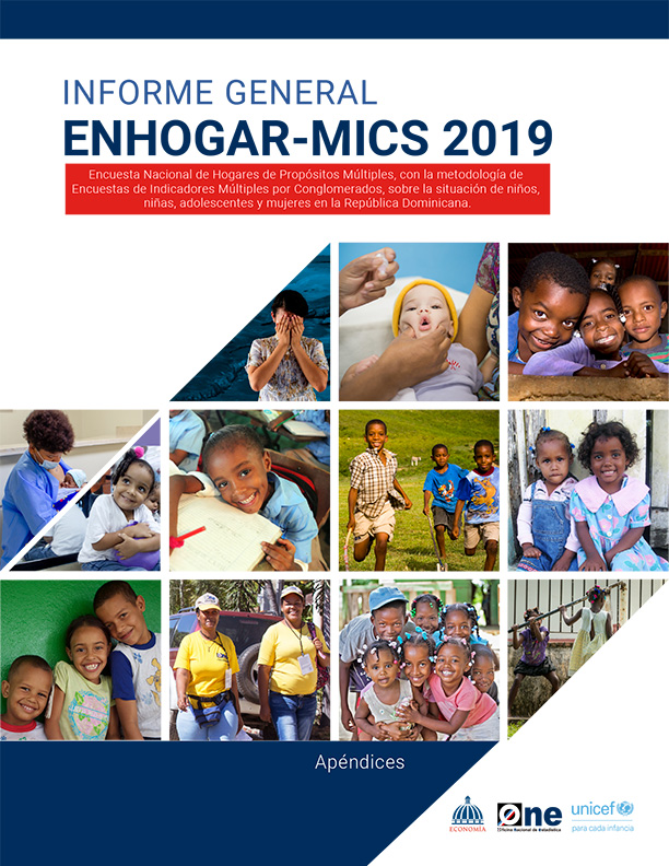 Encuesta Nacional de Hogares de Propósitos Múltiples - ENHOGAR MICS 2019: Informe General