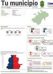 Tu municipio en cifras - Partido