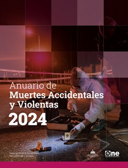 Anuario de estadísticas de muertes accidentales y violentas 2024