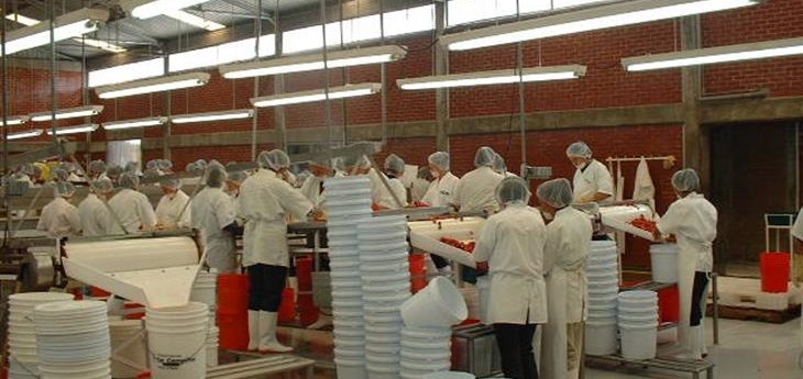 El IPP de las Industrias Manufactureras creció un 0.49%, mientras que el IPP Servicios aumentó un 0.37%