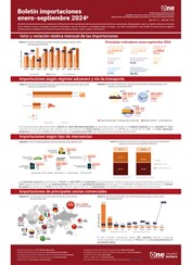 Boletín importaciones enero-septiembre 2024p