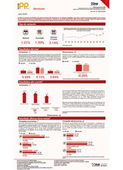 Índice de Precios del Productor del sector Servicios (IPP Servicios) - Julio 2025