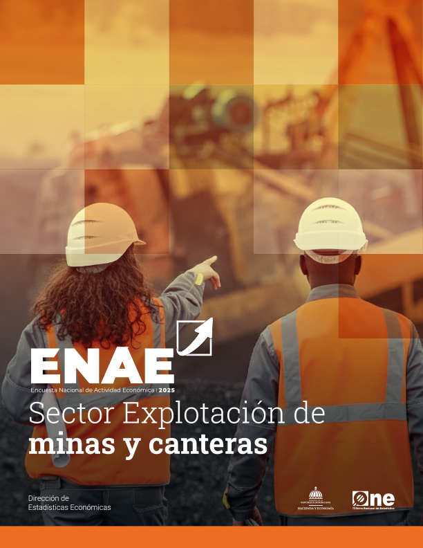 Encuesta Nacional de Actividad Económica, ENAE 2025 Sector Explotación de minas y canteras.
