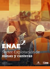 Encuesta Nacional de Actividad Económica, ENAE 2025 Sector Explotación de minas y canteras.