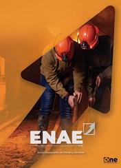 Encuesta Nacional de Actividad Económica 2019. Explotación de minas y canteras