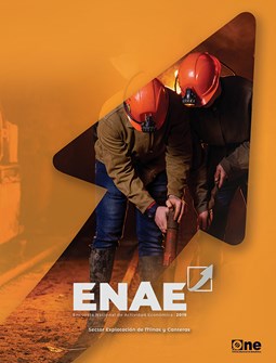 Encuesta Nacional de Actividad Económica 2019. Explotación de minas y canteras