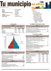 Boletín Tu Municipio en Cifras Ozama Pedro Brand 2016