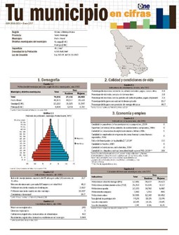 Boletín Tu Municipio en Cifras Ozama Pedro Brand 2016