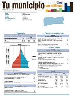 Boletín Tu Municipio en Cifras Higuamo-San Pedro de Macorís-Guayacanes 2018
