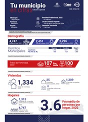 TU MUNICIPIO EN CIFRAS Jaquimeyes