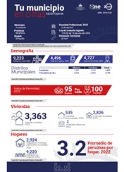 TU MUNICIPIO EN CIFRAS Fundación