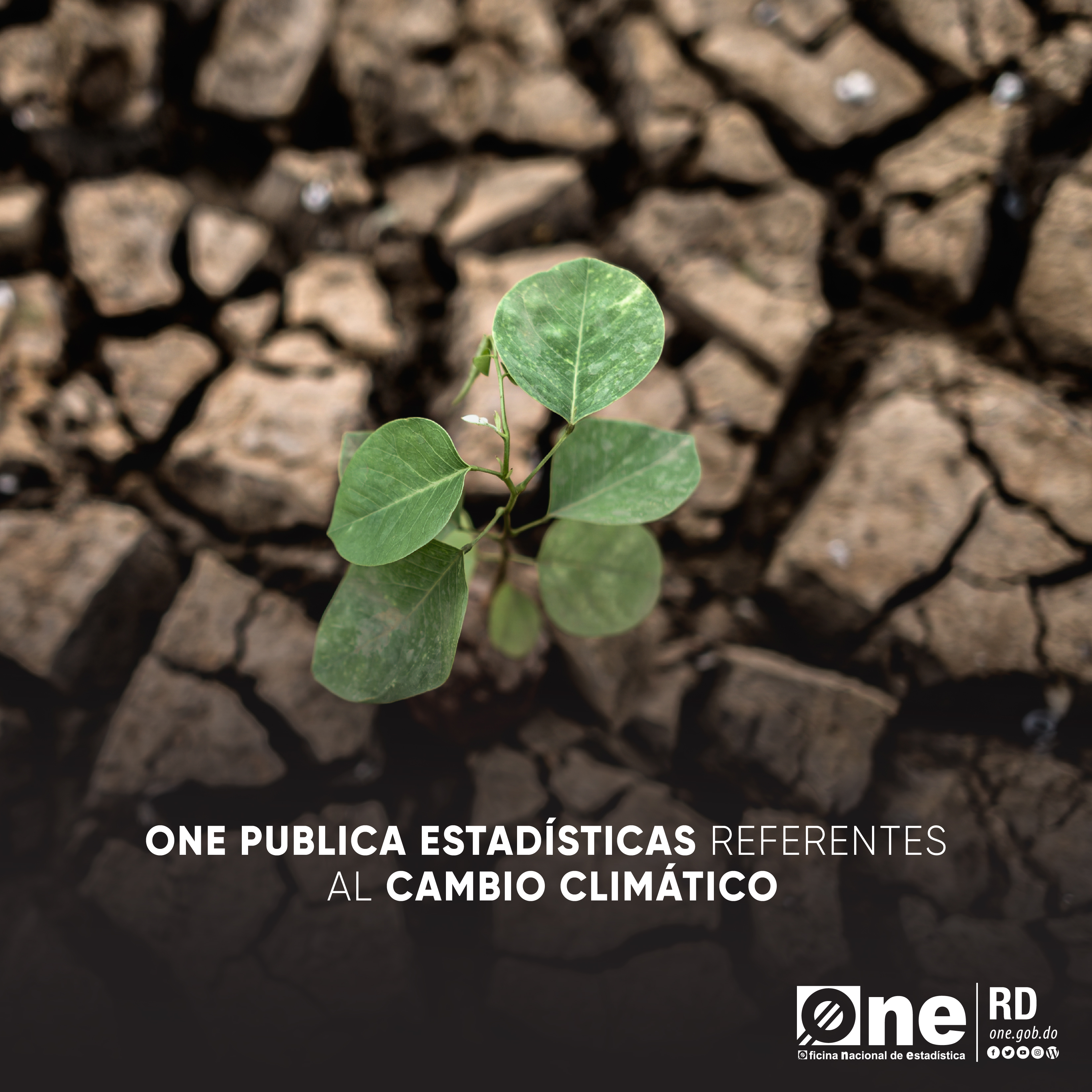 La ONE publica estadísticas referentes al cambio climático
