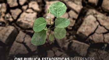 La ONE publica estadísticas referentes al cambio climático