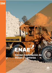 Encuesta Nacional de Actividad Económica, ENAE 2021: Sector Explotación de minas y canteras