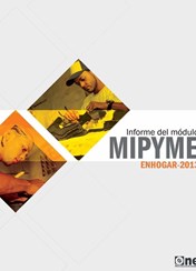 Informe del Módulo de Caracterización de Micro Pequeñas y Medianas Empresas en la Enhogar 2013