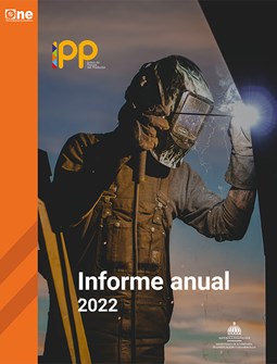 Índice de Precios del Productor (IPP) 2022. Informe anual de resultados