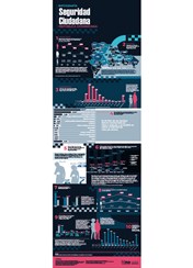 Infografía Seguridad Ciudadana REPÚBLICA DOMINICANA
