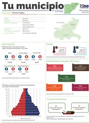 Boletín Tu Municipio en Cifras-Cibao Nordeste-Enriquillo-Barahona-Vicente Noble, Mayo 2020
